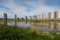 В Петербурге зафиксировано рекордное падение выдачи льготной ипотеки